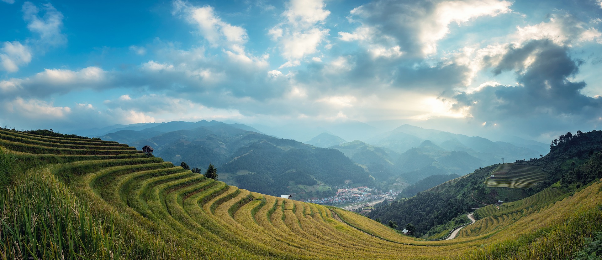 agriculture-gd05a5a871_1920