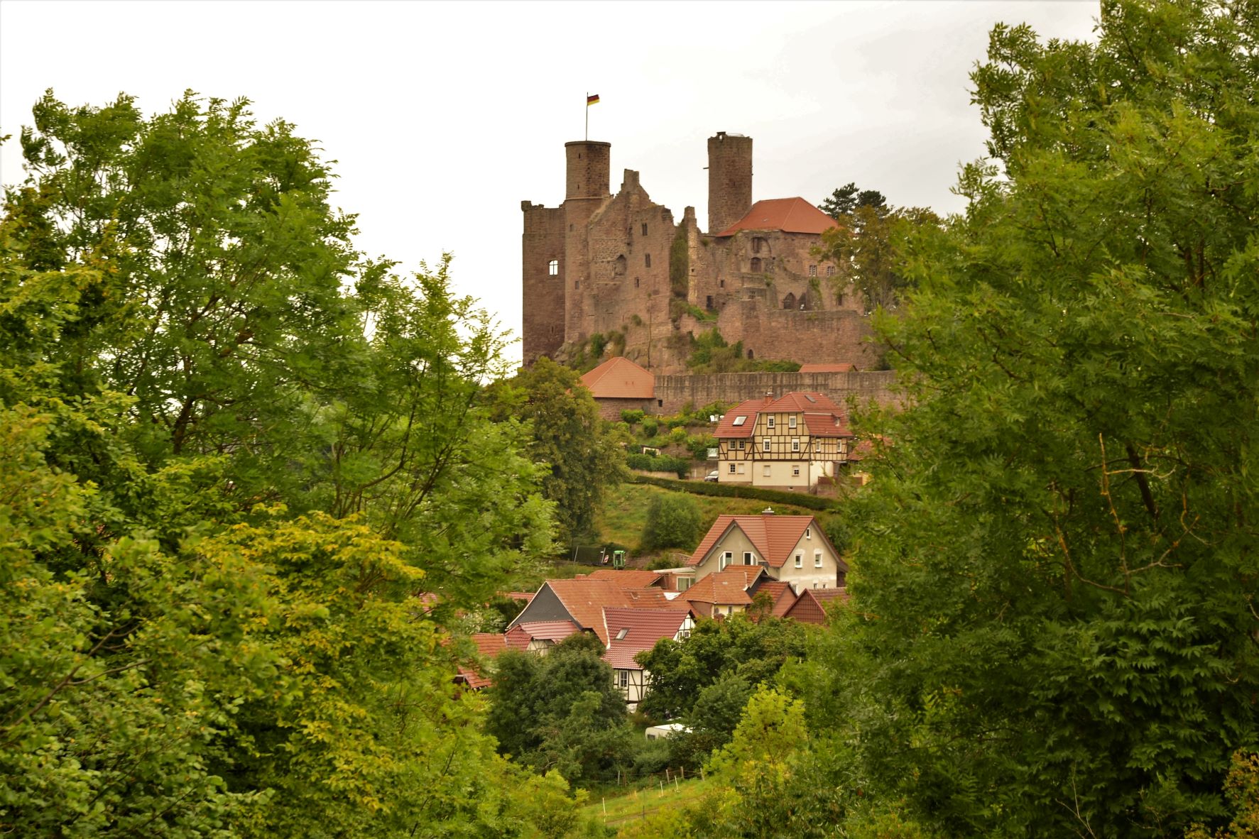 DSC_5909 (2)