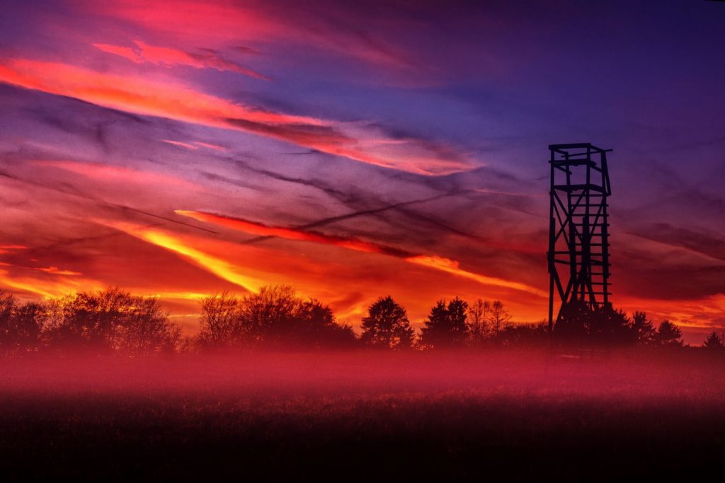 Copilot_20251107_172142ccnn